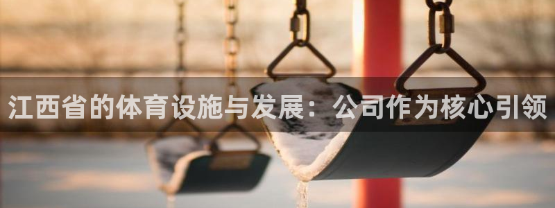 意昂4集团官网首页：江西省的体育设施与发展：公司作为