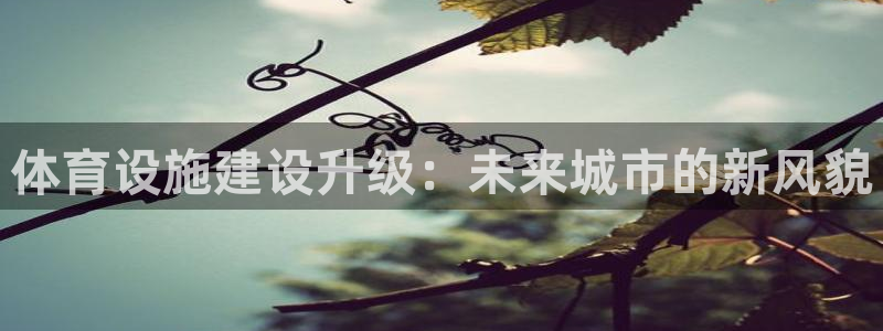 意昂体育4平台注册流程图：体育设施建设升级：未来城市