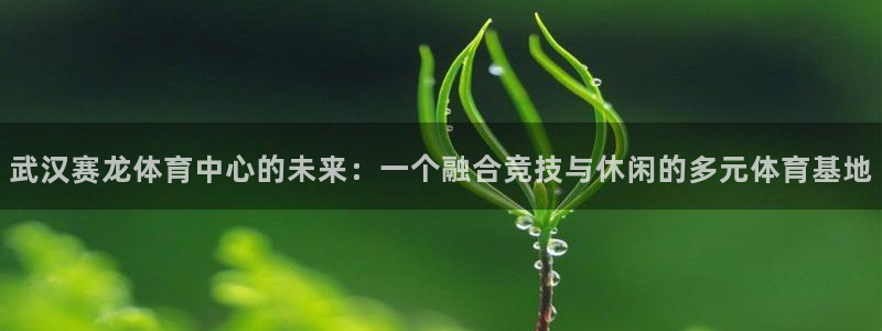 意昂体育4注册：武汉赛龙体育中心的未来：一个融合竞技