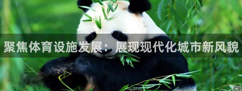 意昂4集团E.ON：聚焦体育设施发展：展现现代化城市