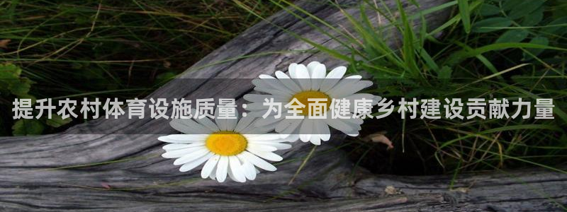 意昂4新能源：提升农村体育设施质量：为全面健康乡村建