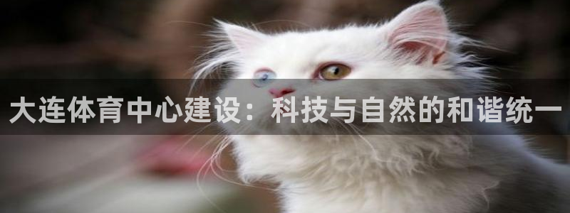 海南意昂体育4发展怎么样：大连体育中心建设：科技与自