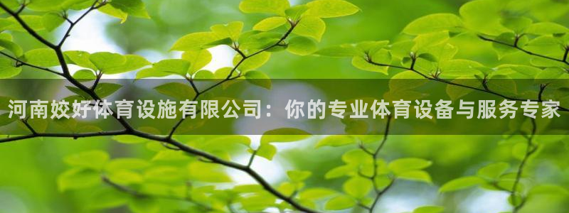 海南意昂体育4：河南姣好体育设施有限公司：你的专业体