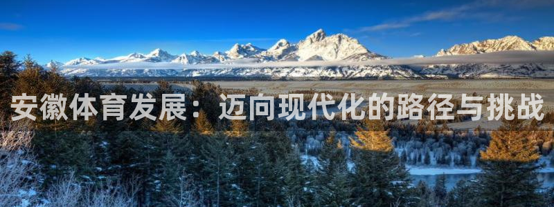 意昂体育4招商电话是多少：安徽体育发展：迈向现代化的