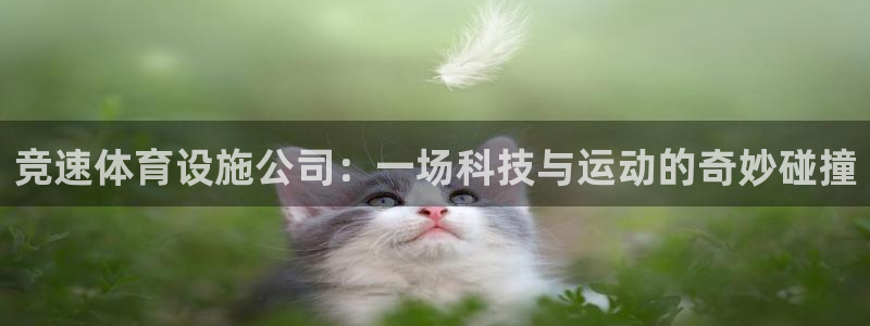 意昂体育4招商电话地址是多少：竞速体育设施公司：一场科技与运