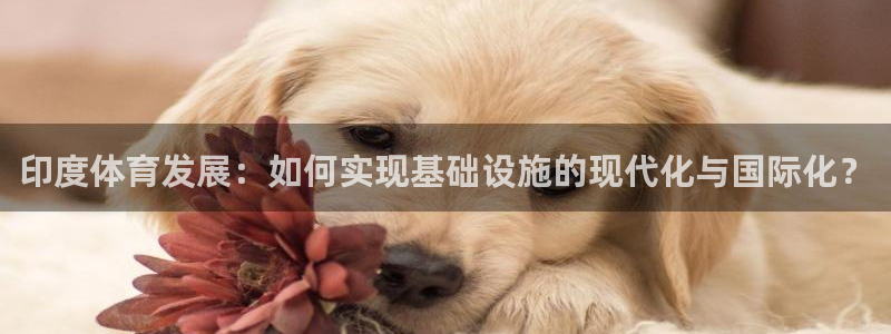 意昂体育4官方客服电话：印度体育发展：如何实现基础设施的现代