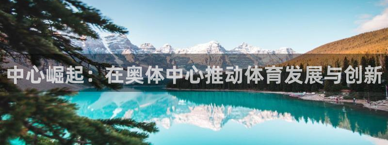 意昂4科技：中心崛起：在奥体中心推动体育发展与创新