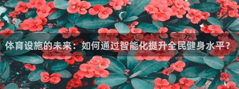 意昂4神州：体育设施的未来：如何通过智能化提升全民健身水平？