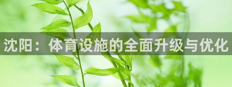 意昂4娱乐首页官网下载：沈阳：体育设施的全面升级与优化 