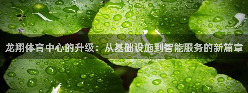 意昂4代理：龙翔体育中心的升级：从基础设施到智能服务