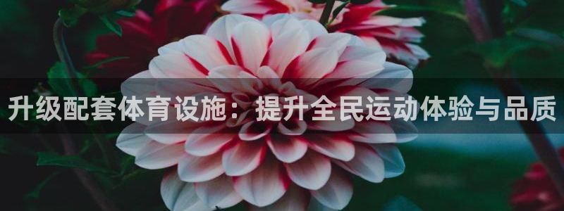 意昂4娱乐首页官网下载：升级配套体育设施：提升全民运