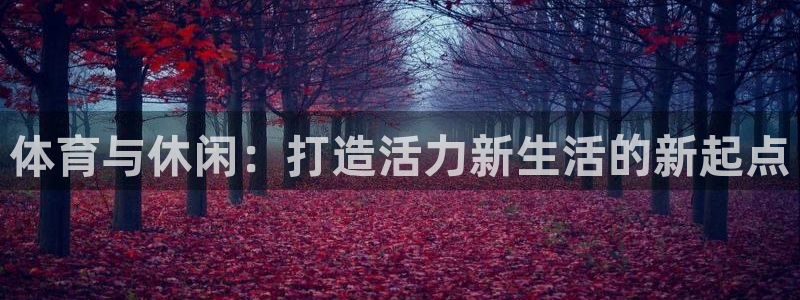 德国意昂4集团