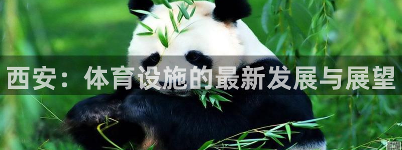 意昂4娱乐下载