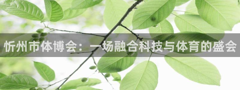 意昂4娱乐代理怎么样