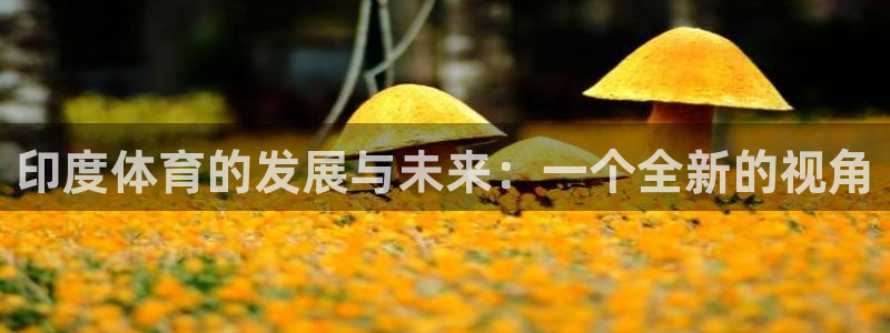 意昂4神州
