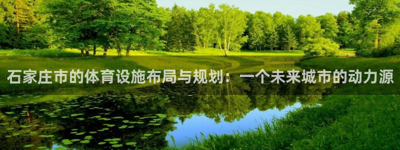 意昂体育4平台注册要钱吗是真的吗：石家庄市的体育设施布局与规