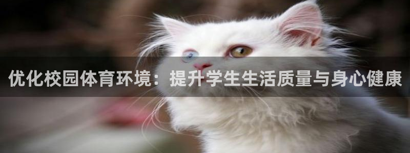 意昂4娱乐下载：优化校园体育环境：提升学生生活质量与身心健康
