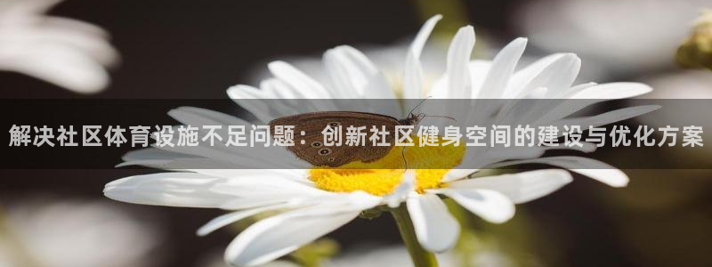 意昂4娱乐网站：解决社区体育设施不足问题：创新社区健