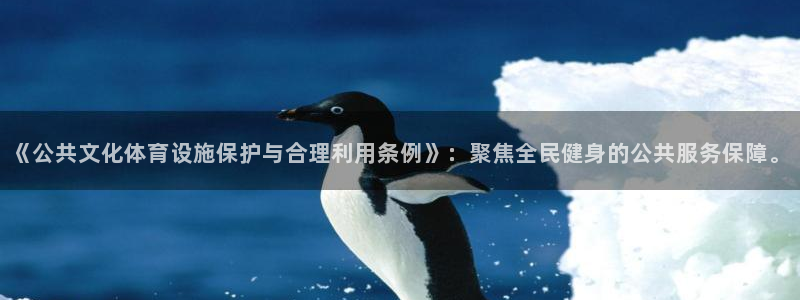 海南意昂体育4发展怎么样：《公共文化体育设施保护与合