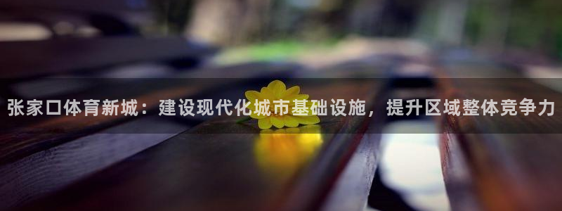 意昂体育4软件：张家口体育新城：建设现代化城市基础设