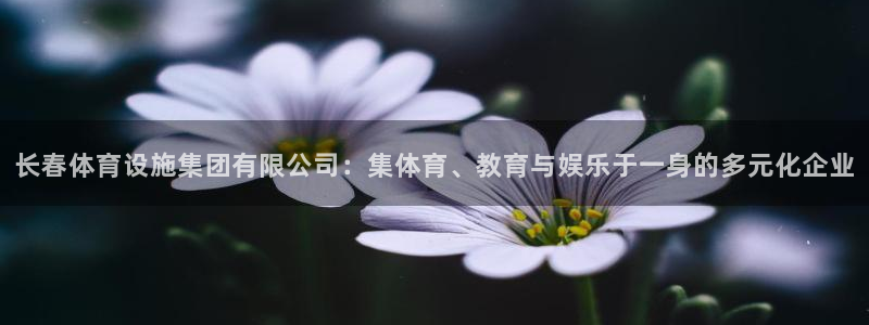 意昂体育4招商电话是多少号码：长春体育设施集团有限公