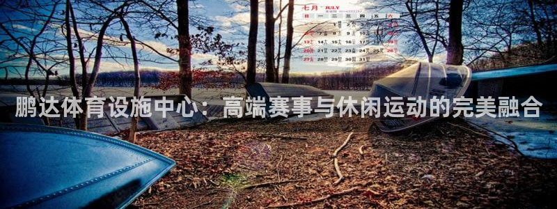 意昂4娱乐平台：鹏达体育设施中心：高端赛事与休闲运动