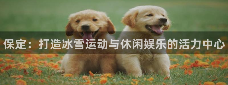 意昂体育4平台假的吗是真的吗：保定：打造冰雪运动与休