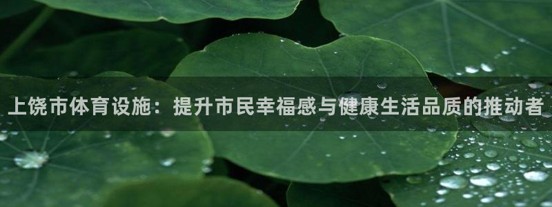 意昂体育4招商电话地址是多少：上饶市体育设施：提升市