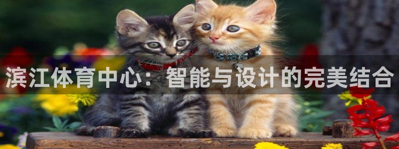 德国意昂4集团：滨江体育中心：智能与设计的完美结合