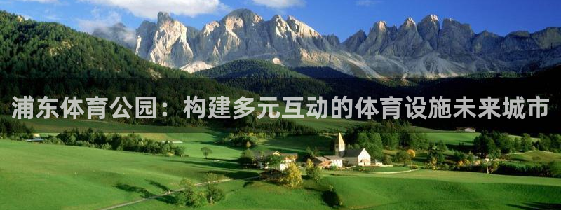 意昂体育4开户：浦东体育公园：构建多元互动的体育设施