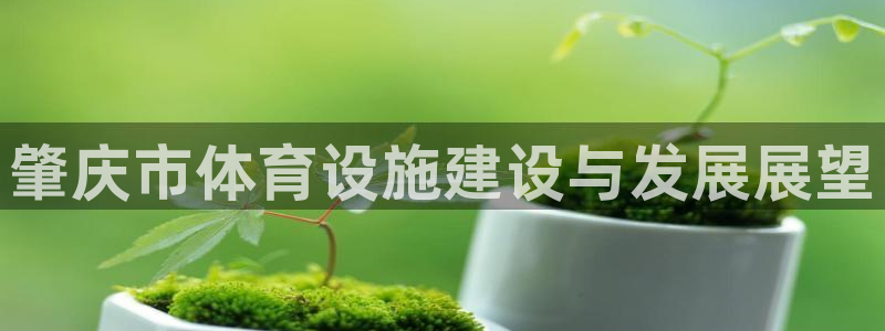 意昂4娱乐首页官网下载：肇庆市体育设施建设与发展展望