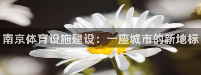 意昂4娱乐平台：南京体育设施建设：一座城市的新地标