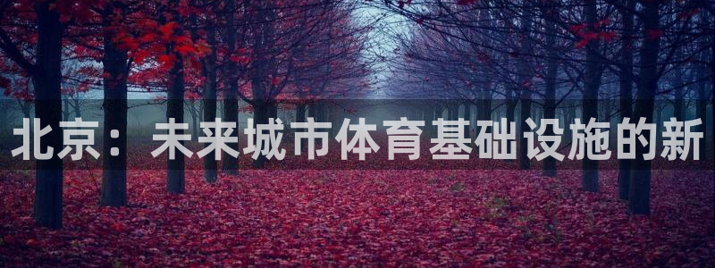 海南意昂体育4