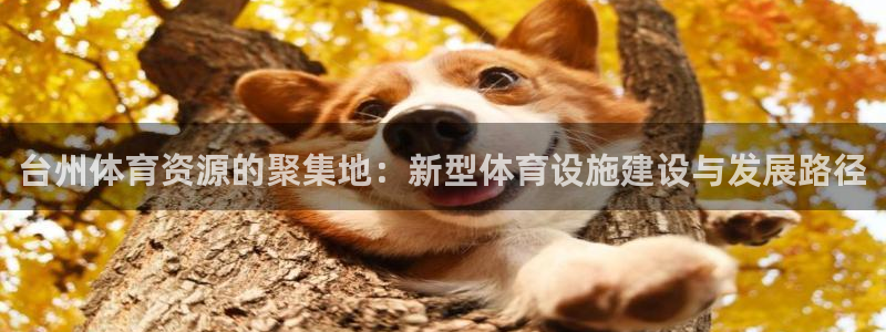 意昂4集团logo：台州体育资源的聚集地：新型体育设施建设与