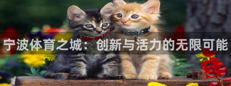 意昂体育4招商电话是多少啊：宁波体育之城：创新与活力的无限可