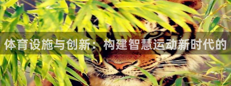 意昂体育4平台假的吗是真的吗：体育设施与创新：构建智