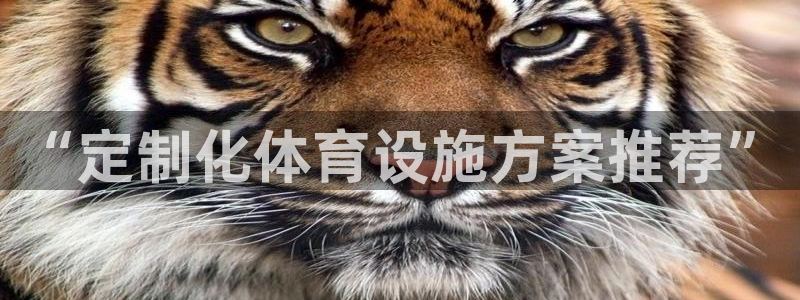 意昂体育4招商电话号码查询：“定制化体育设施方案推荐