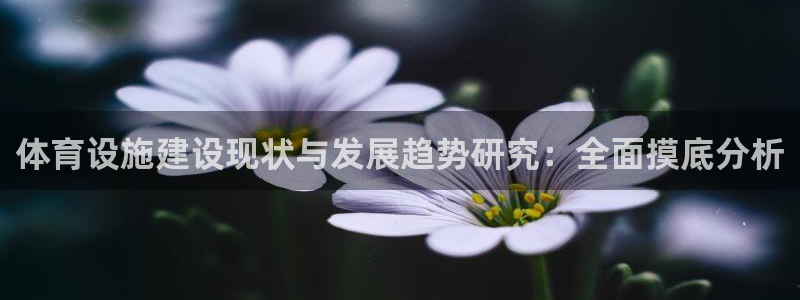 意昂体育4招商电话号码是多少号：体育设施建设现状与发