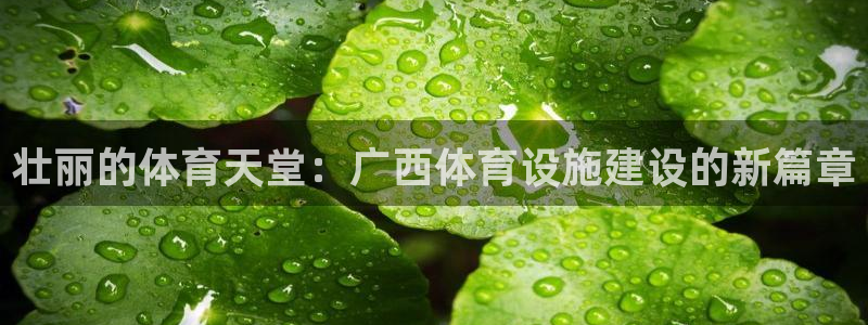意昂4科技：壮丽的体育天堂：广西体育设施建设的新篇章