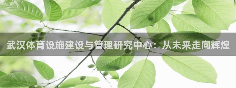 意昂4娱乐：武汉体育设施建设与管理研究中心：从未来走