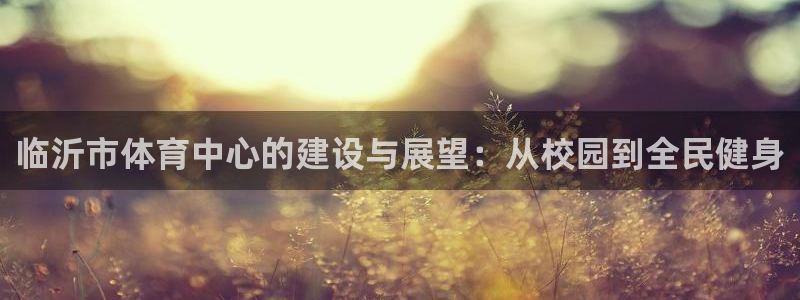 意昂体育4开户：临沂市体育中心的建设与展望：从校园到