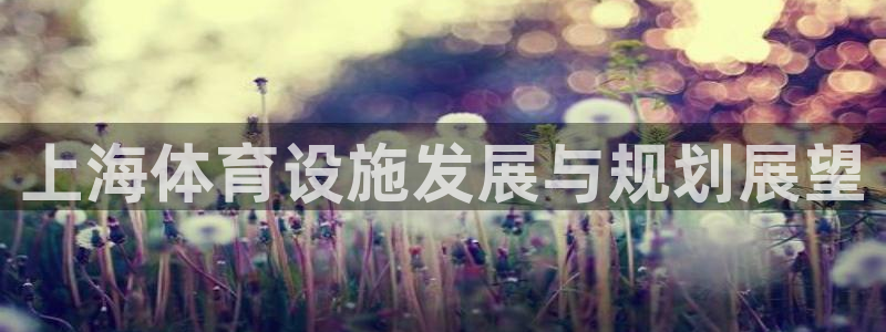 意昂4集团E.ON：上海体育设施发展与规划展望