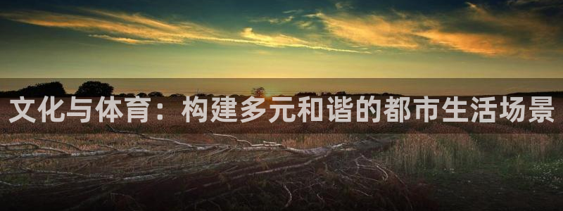 海南意昂体育4发展怎么样：文化与体育：构建多元和谐的都市生活