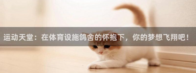 意昂4娱乐平台：运动天堂：在体育设施鸽舍的怀抱下，你的梦想飞