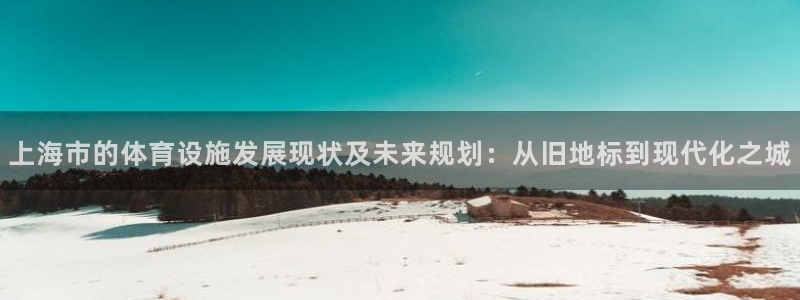 意昂4集团简介：上海市的体育设施发展现状及未来规划：