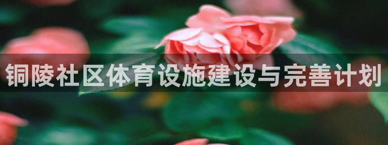 意昂体育4平台注册要钱吗安全吗：铜陵社区体育设施建设