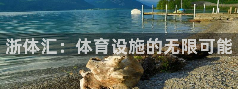 意昂体育4平台APP：浙体汇：体育设施的无限可能