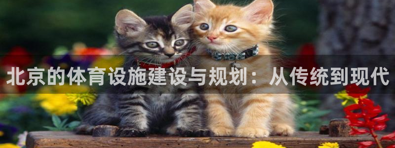 意昂4神州：北京的体育设施建设与规划：从传统到现代