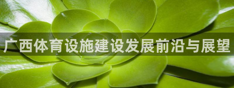 意昂体育4是干嘛的公司：广西体育设施建设发展前沿与展