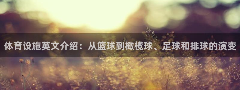 意昂体育4招商电话号码：体育设施英文介绍：从篮球到橄